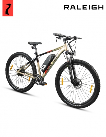 raleigh electric skarn single speed bike